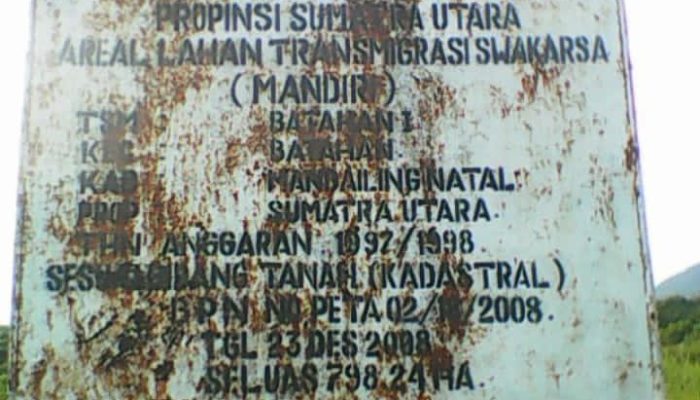 Diduga Serobot Lahan TSM 363 KK di Batahan PTPN lV Regional ll Kebun Timur Dituding Tanam Ganda di Atas Tahan Transmigrasi